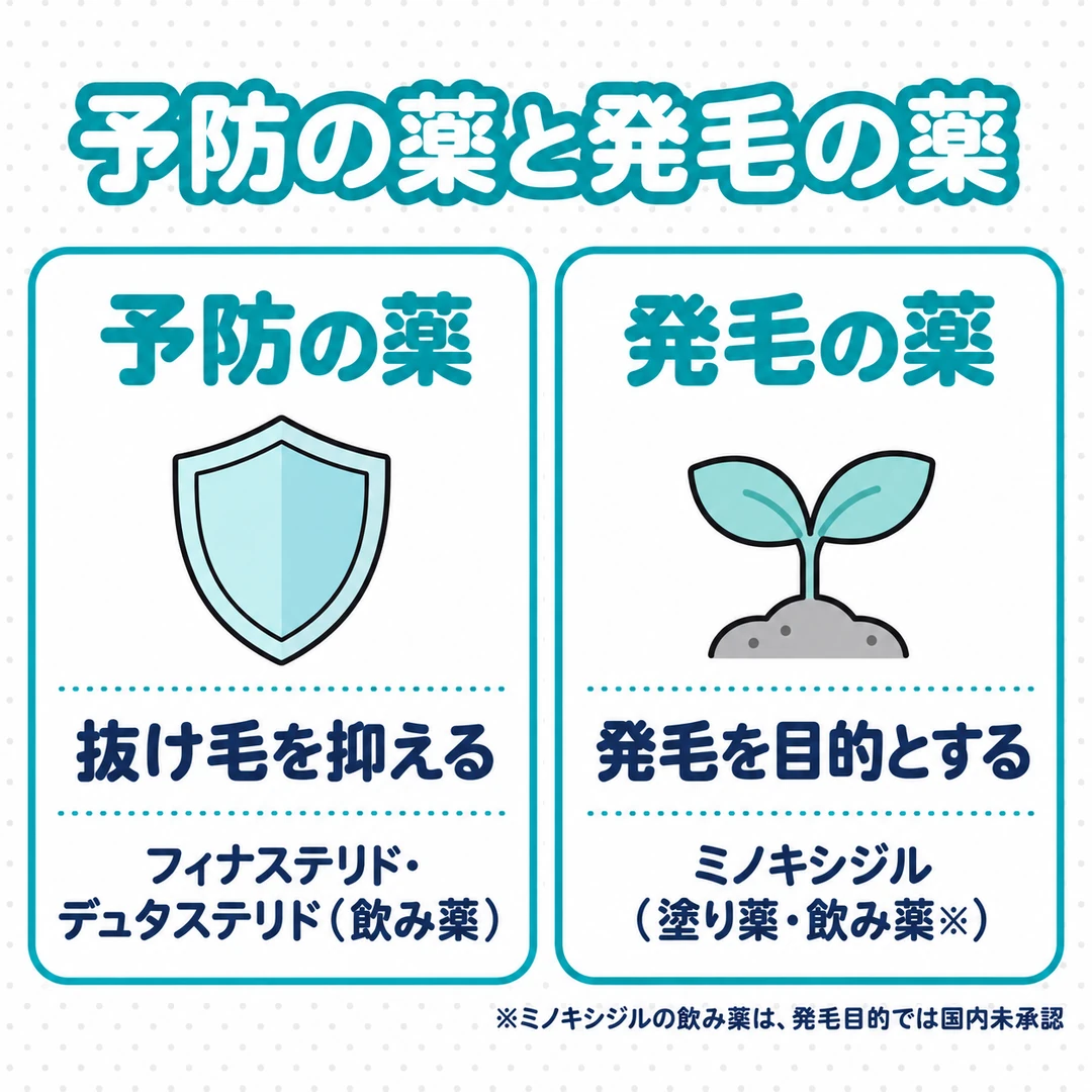 発毛の薬(ミノキシジル)と予防の薬(フィナステリド・デュタステリドの飲み薬)の違いの図